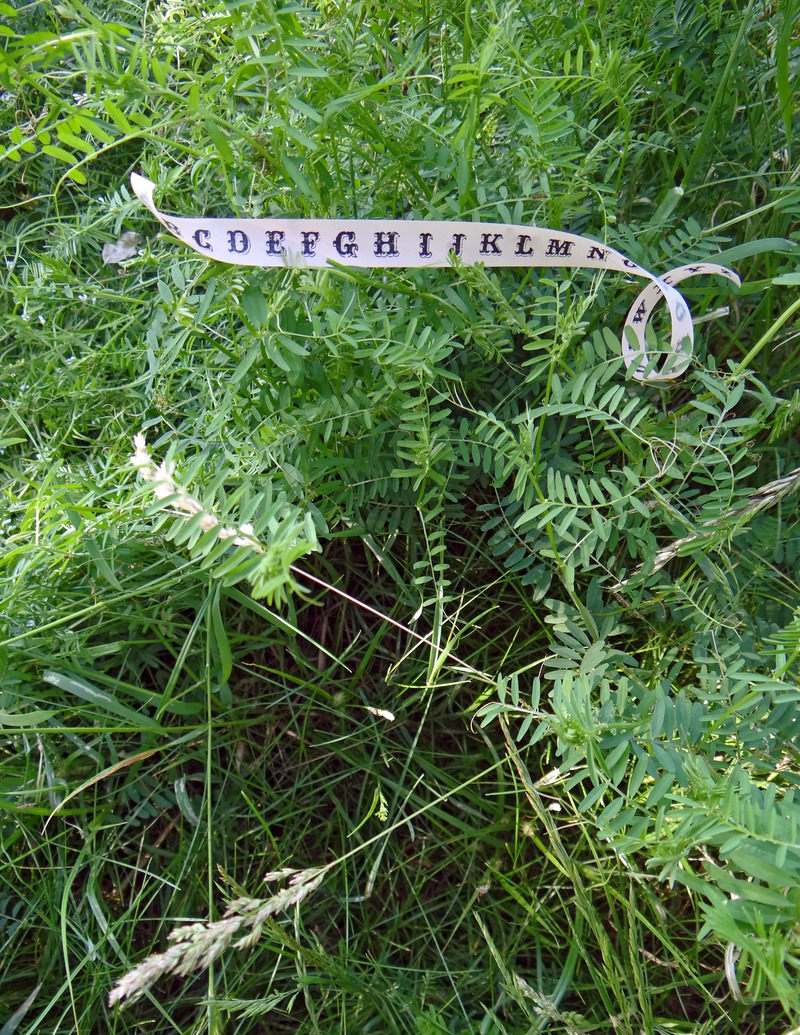 schreibreflexion