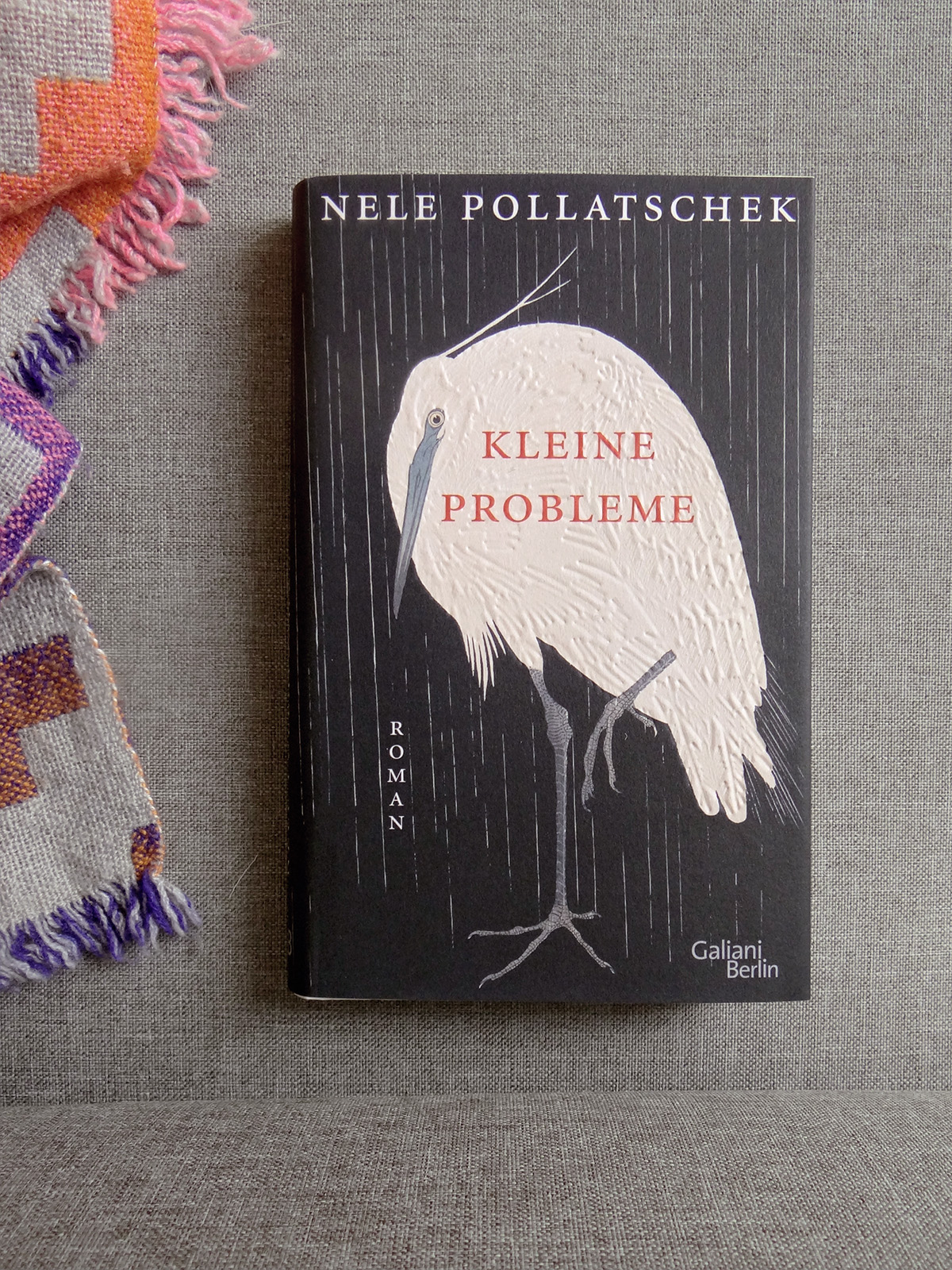 Das Buch Kleine Probleme von Nele Pollatschek