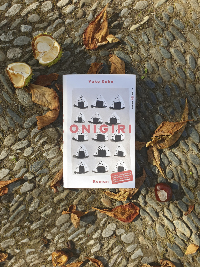  buch artikelseite onigiri