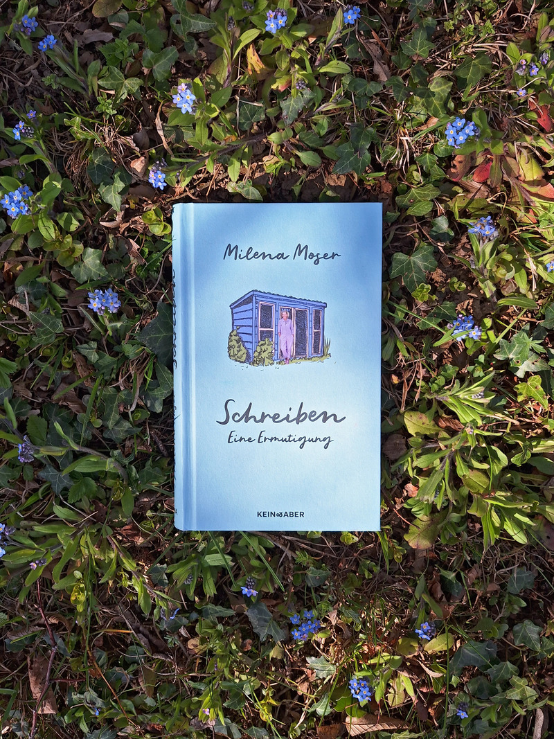 Ein Buch liegt in der Wiese